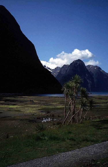 New Zealand Mountains